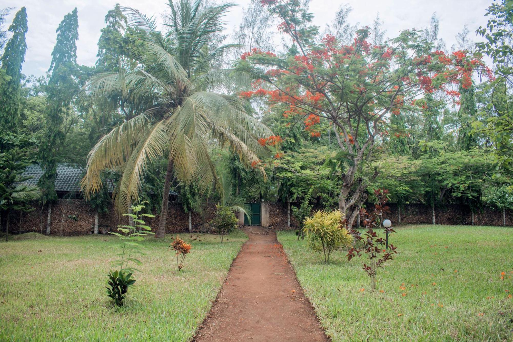 Kijani Cottages In Diani Diani Beach Eksteriør bilde