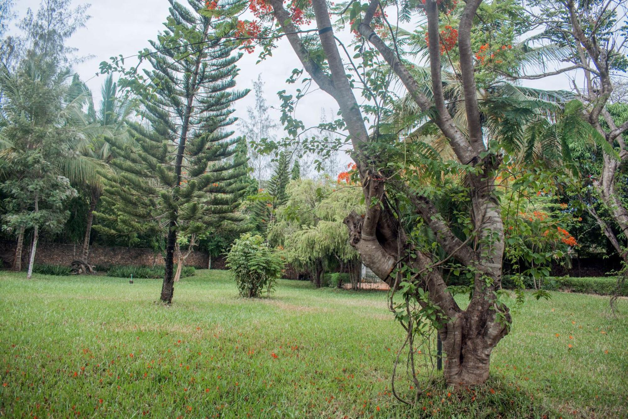 Kijani Cottages In Diani Diani Beach Eksteriør bilde