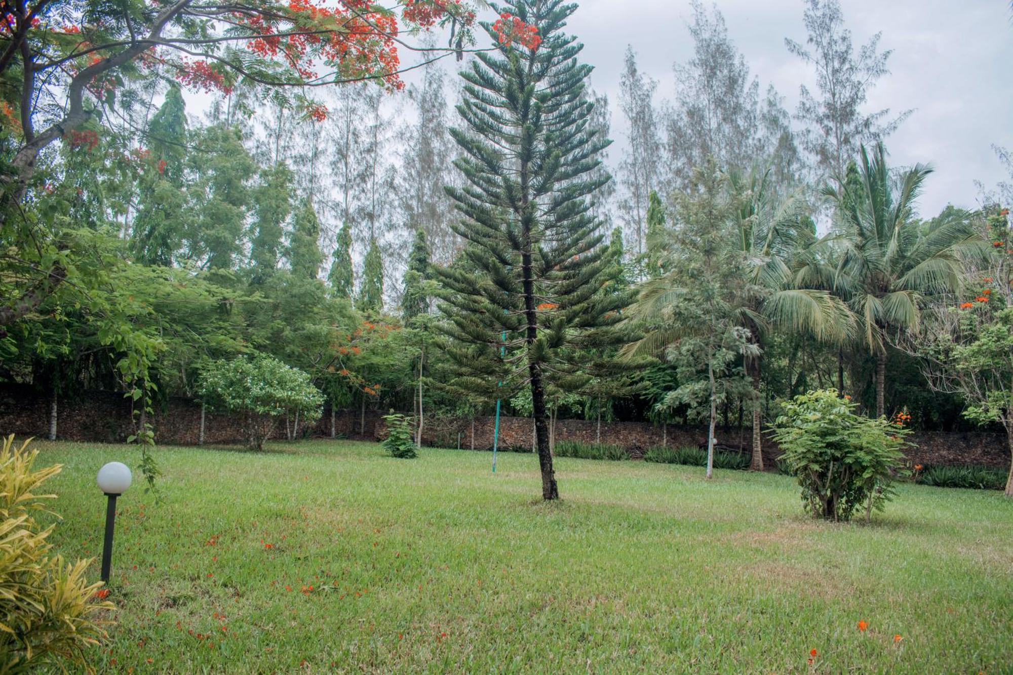 Kijani Cottages In Diani Diani Beach Eksteriør bilde
