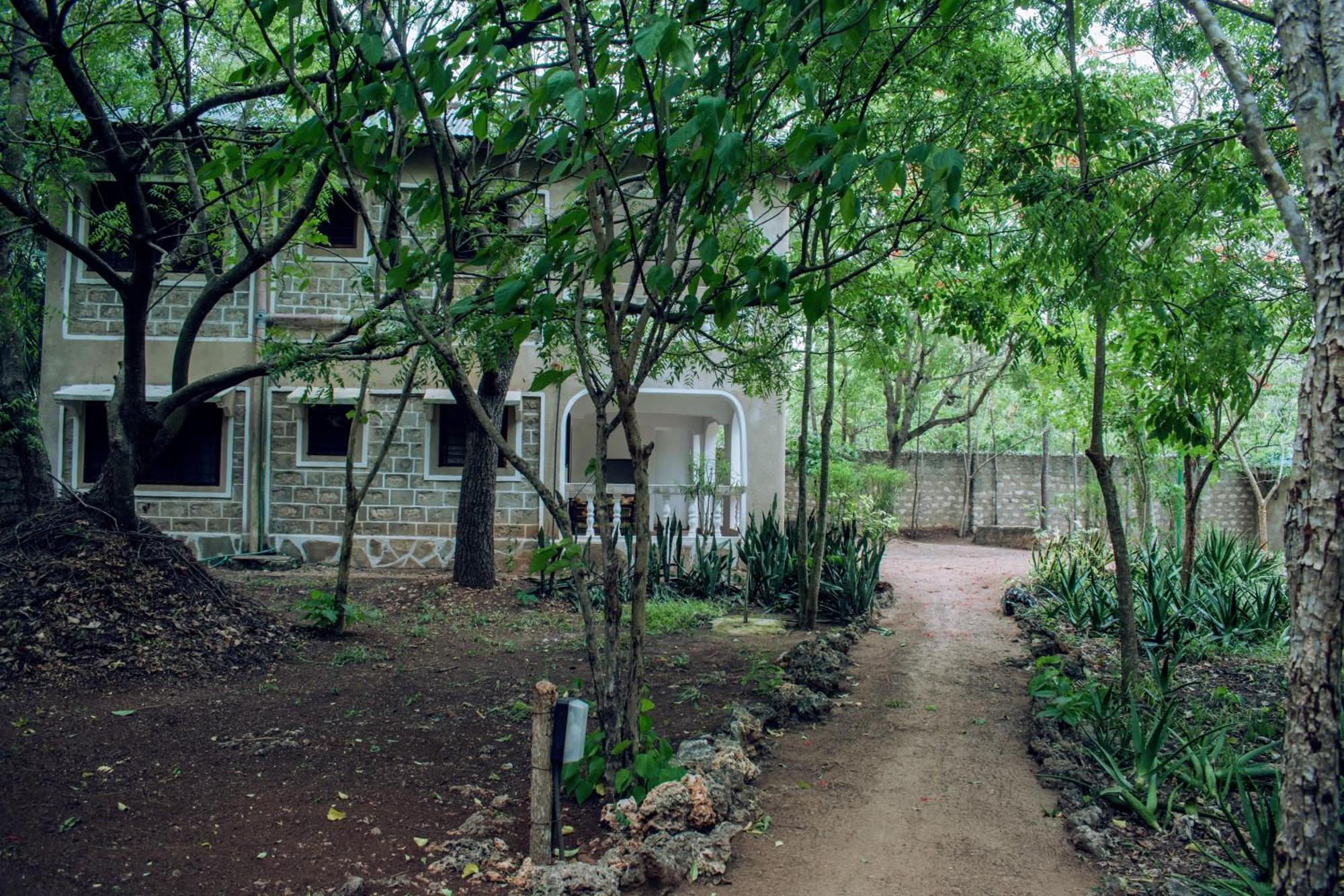 Kijani Cottages In Diani Diani Beach Eksteriør bilde