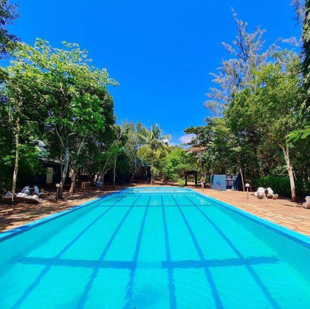 Kijani Cottages In Diani Diani Beach Eksteriør bilde